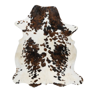 Longhorn Hide, Furnishings, Taxidermy, Longhorn