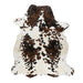 Longhorn Hide, Furnishings, Taxidermy, Longhorn