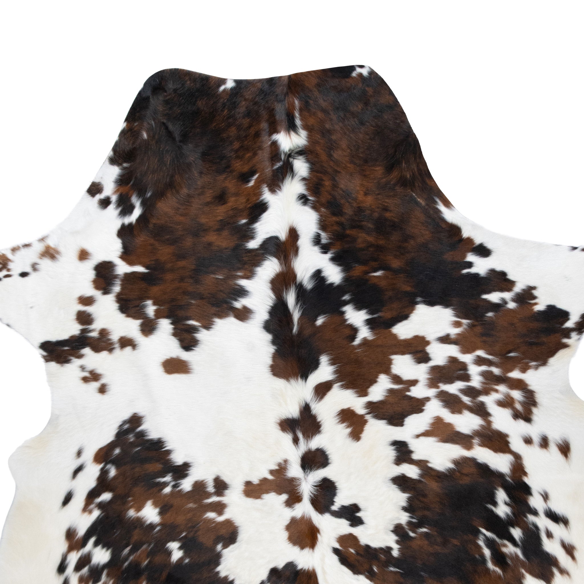 Longhorn Hide