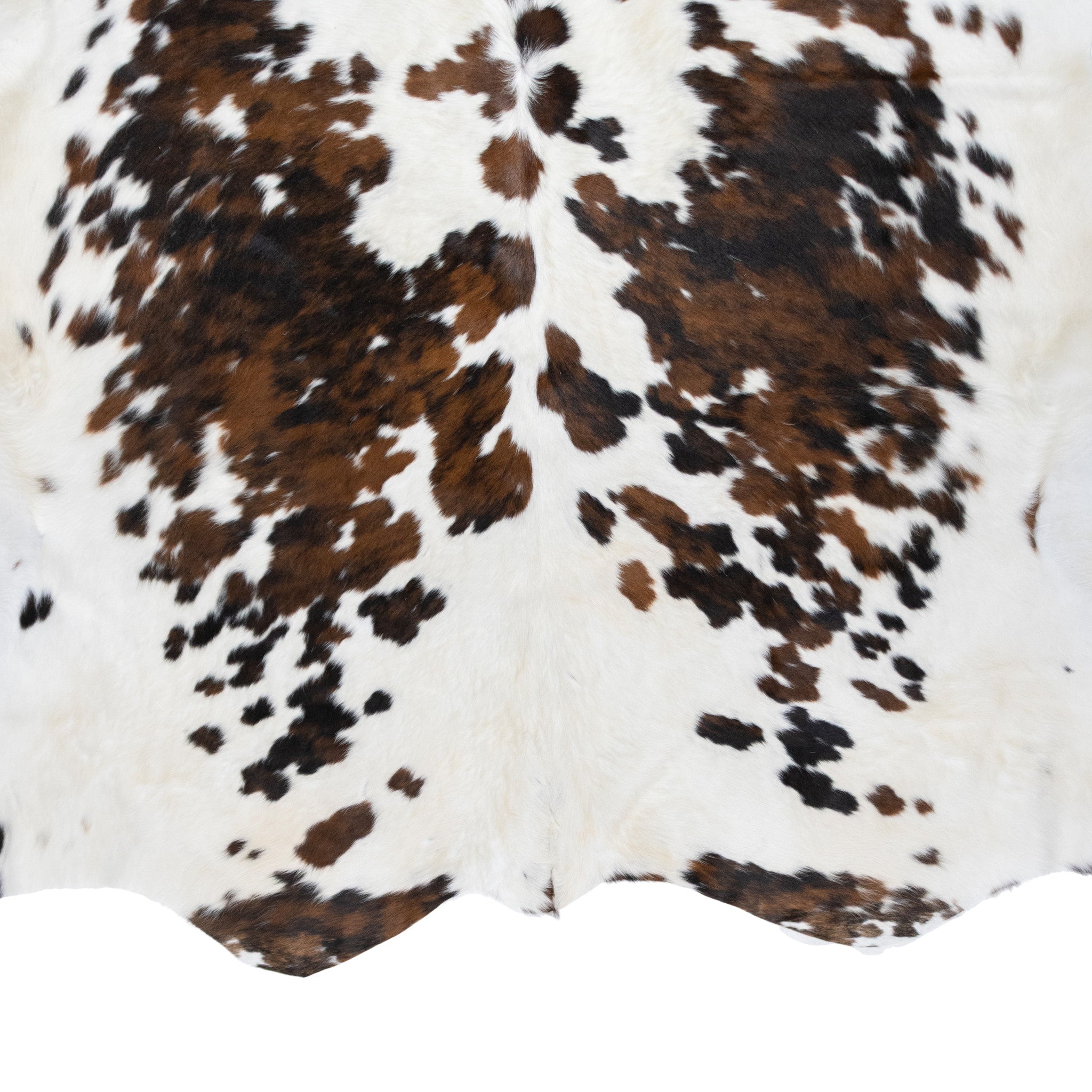 Longhorn Hide