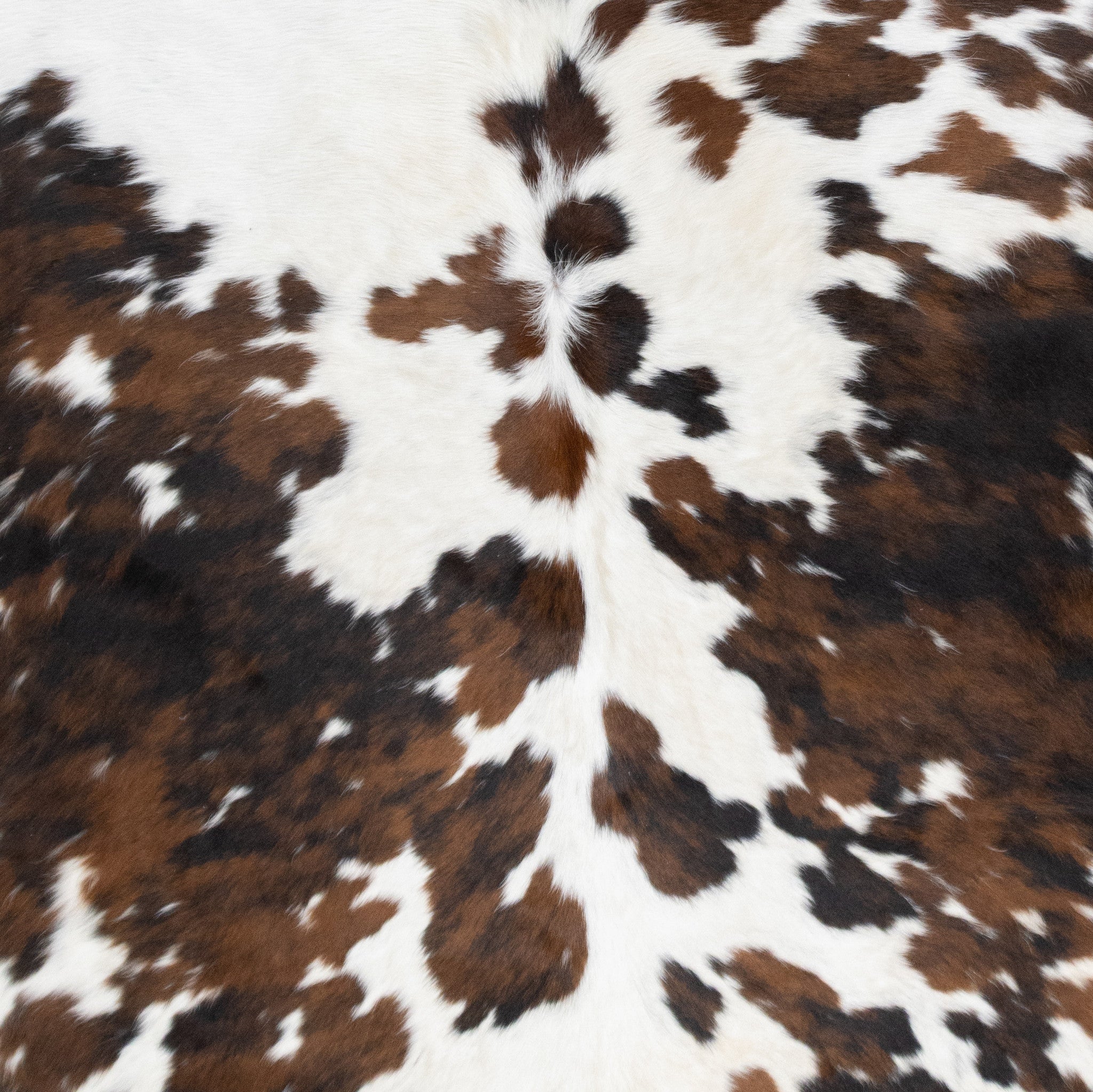 Longhorn Hide
