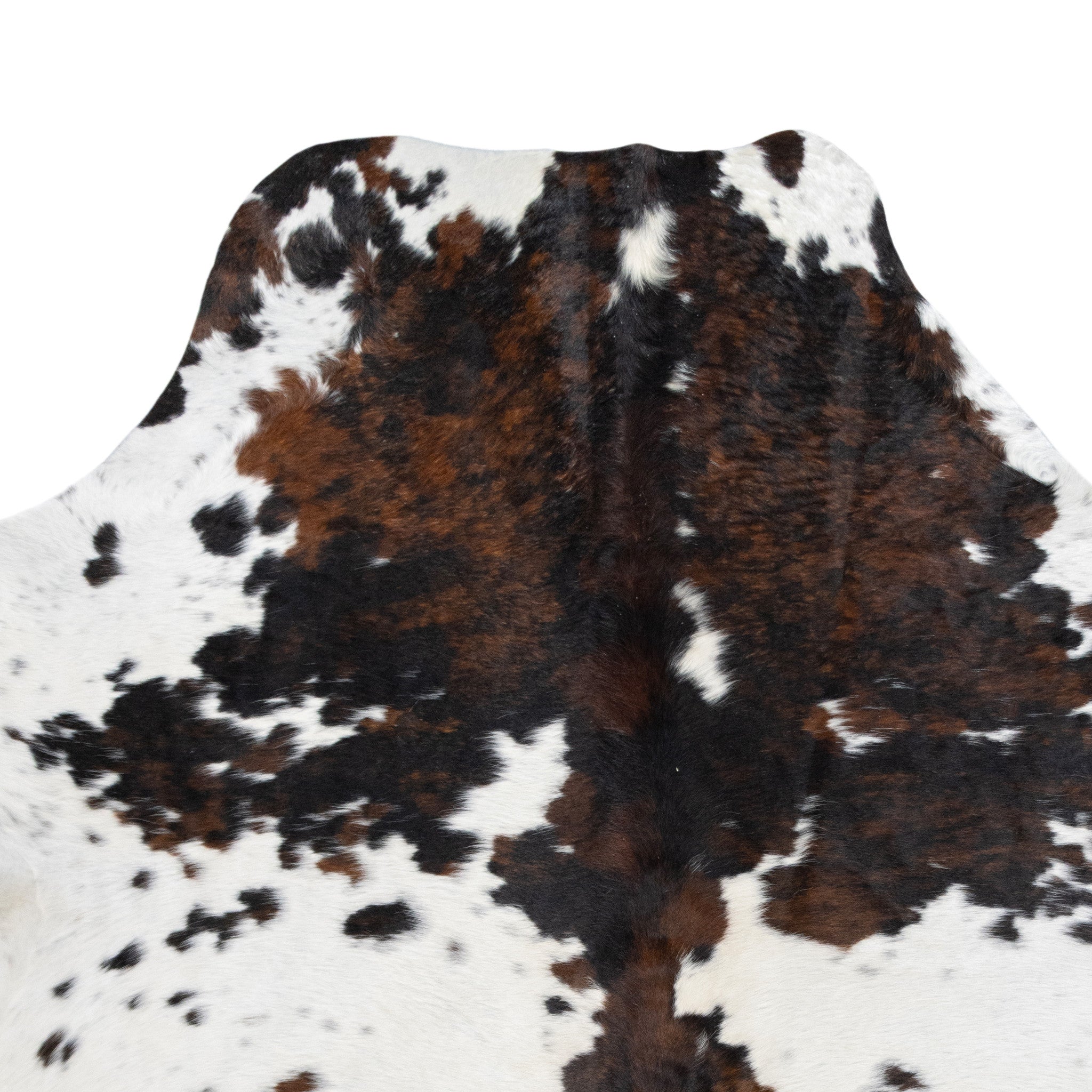 Longhorn Hide