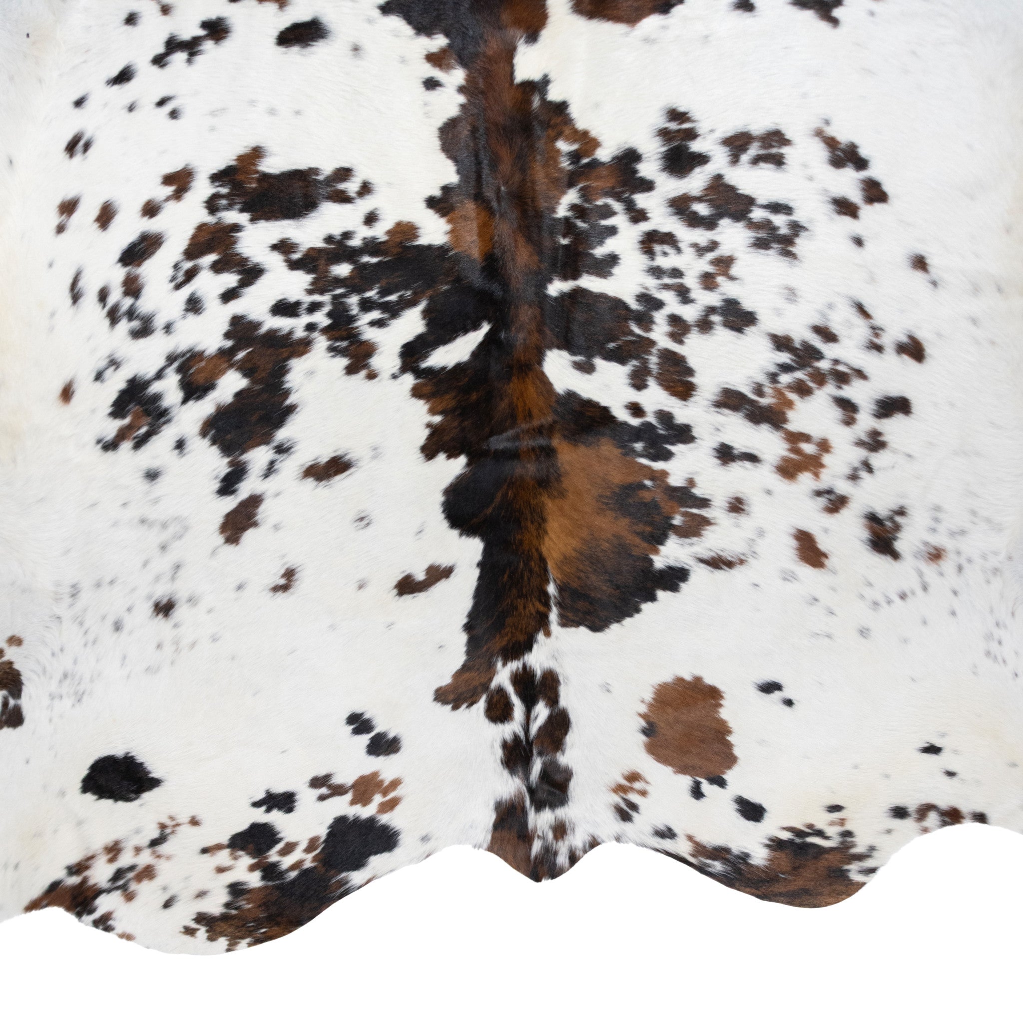 Longhorn Hide