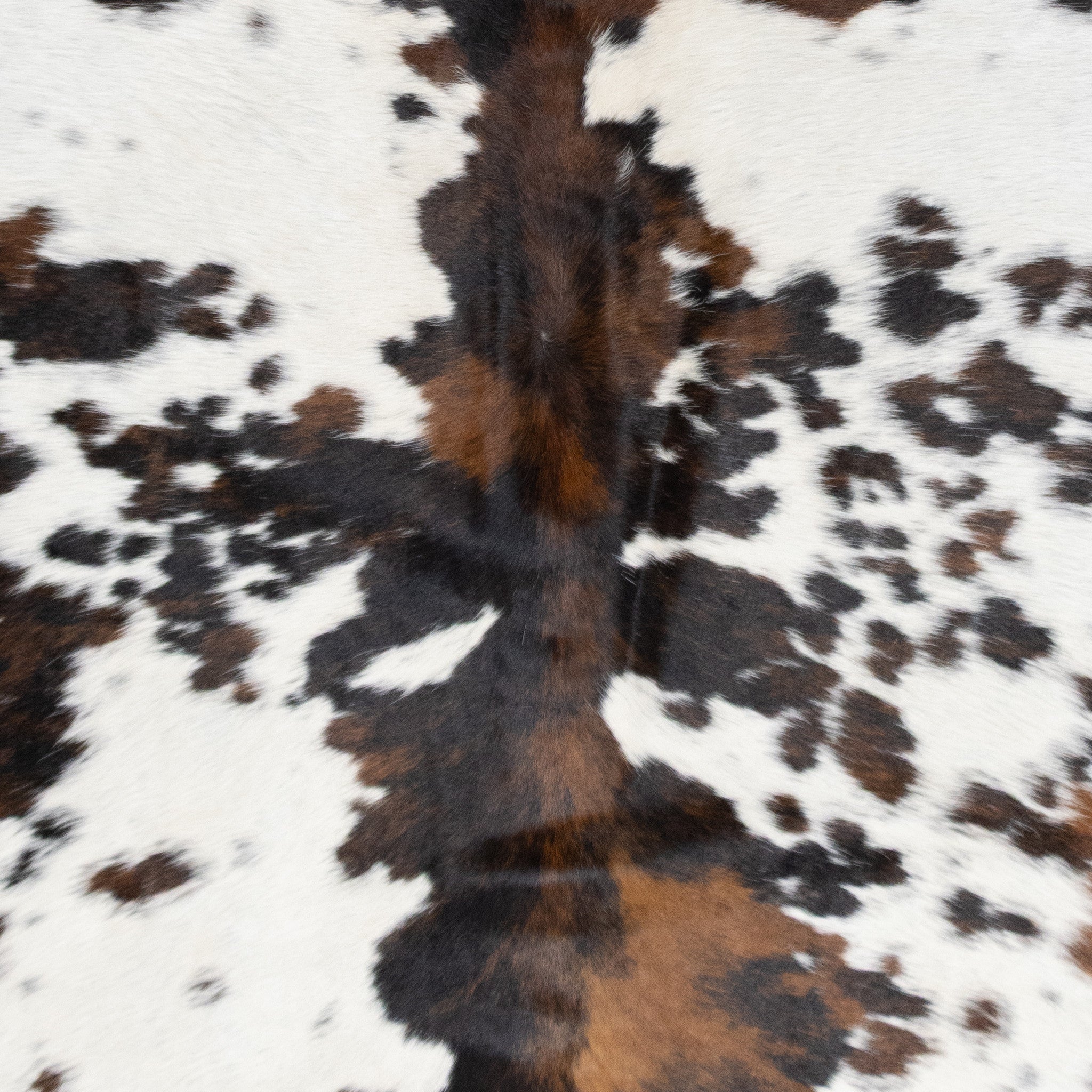 Longhorn Hide