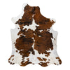 Longhorn Hide, Furnishings, Taxidermy, Longhorn