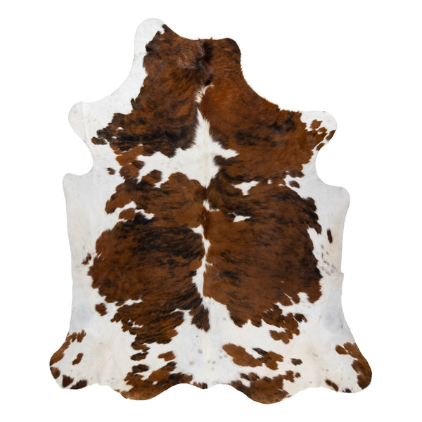 Longhorn Hide, Furnishings, Taxidermy, Longhorn