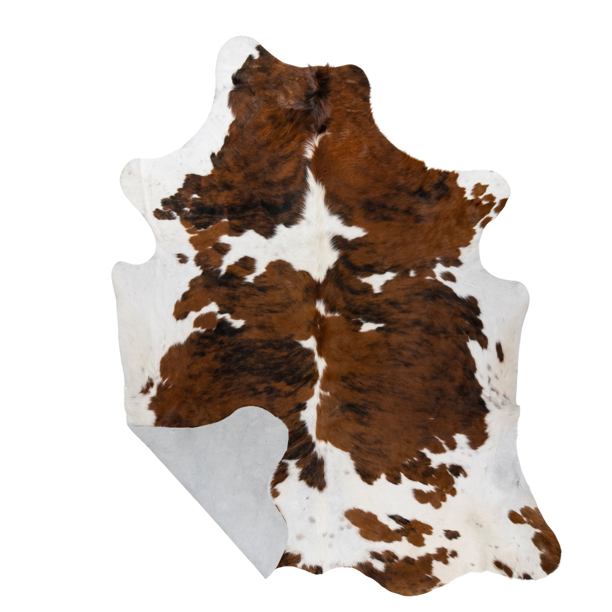 Longhorn Hide