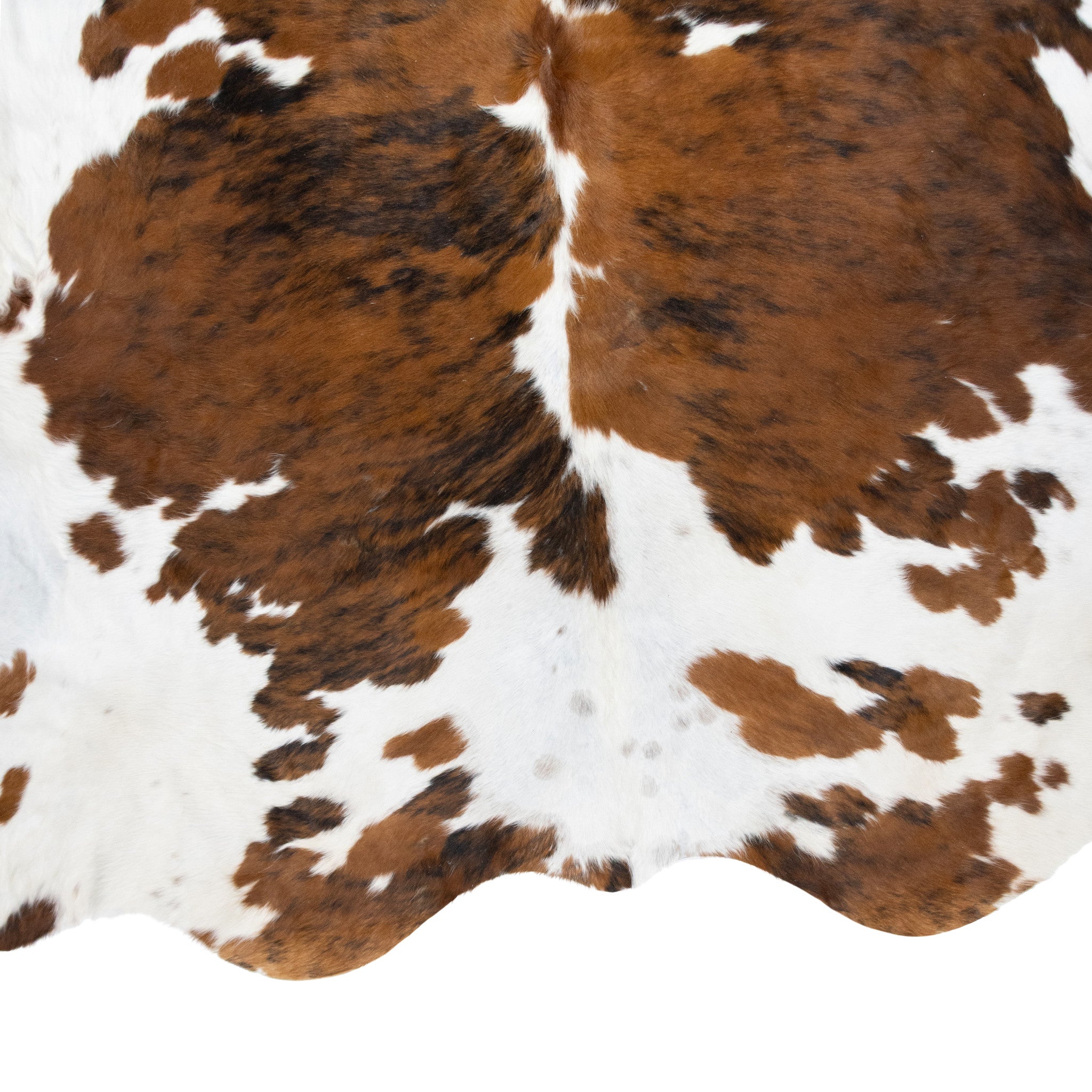 Longhorn Hide