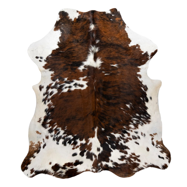 Longhorn Hide, Furnishings, Taxidermy, Longhorn