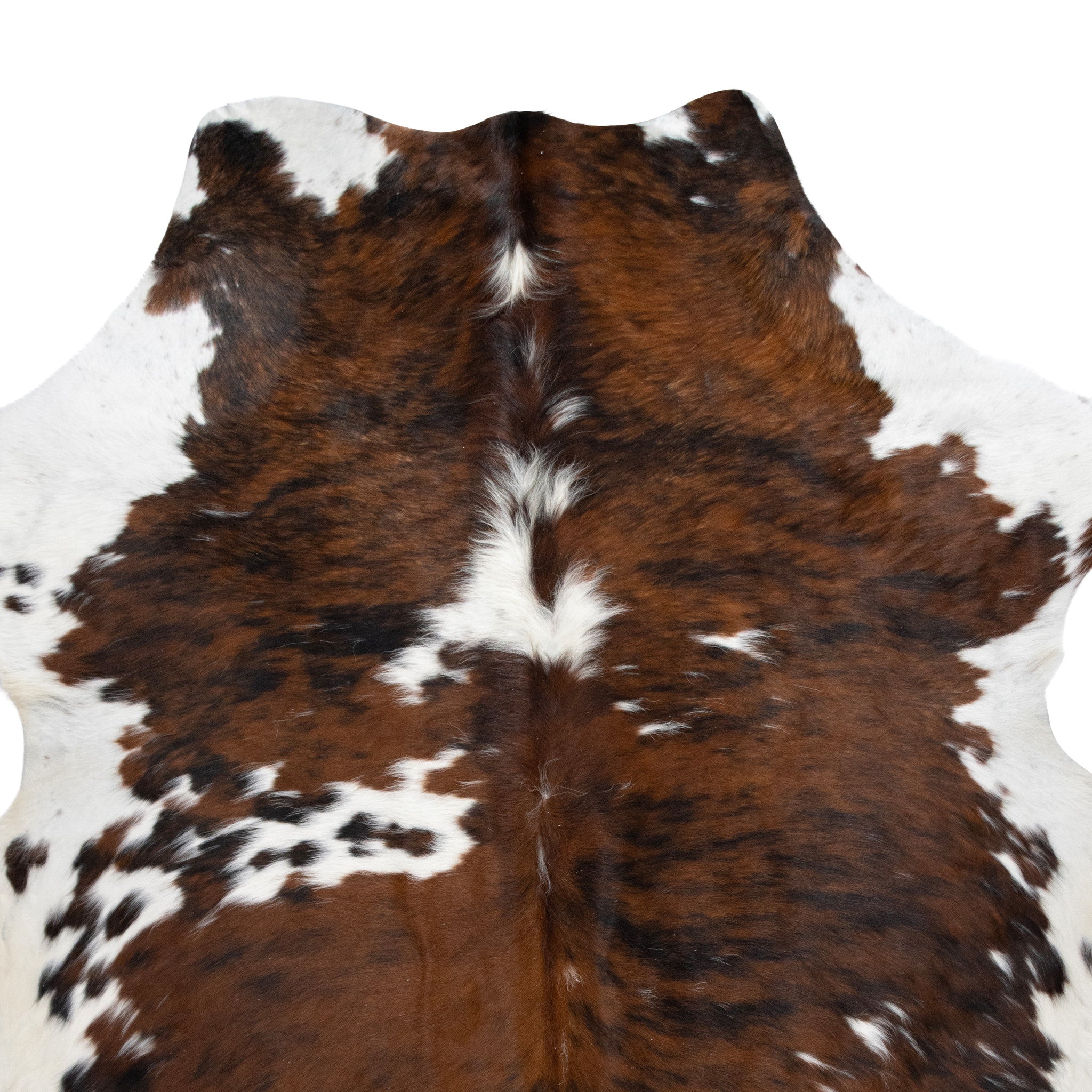 Longhorn Hide