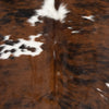 Longhorn Hide