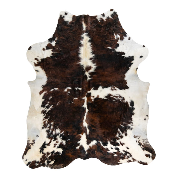 Longhorn Hide, Furnishings, Taxidermy, Longhorn