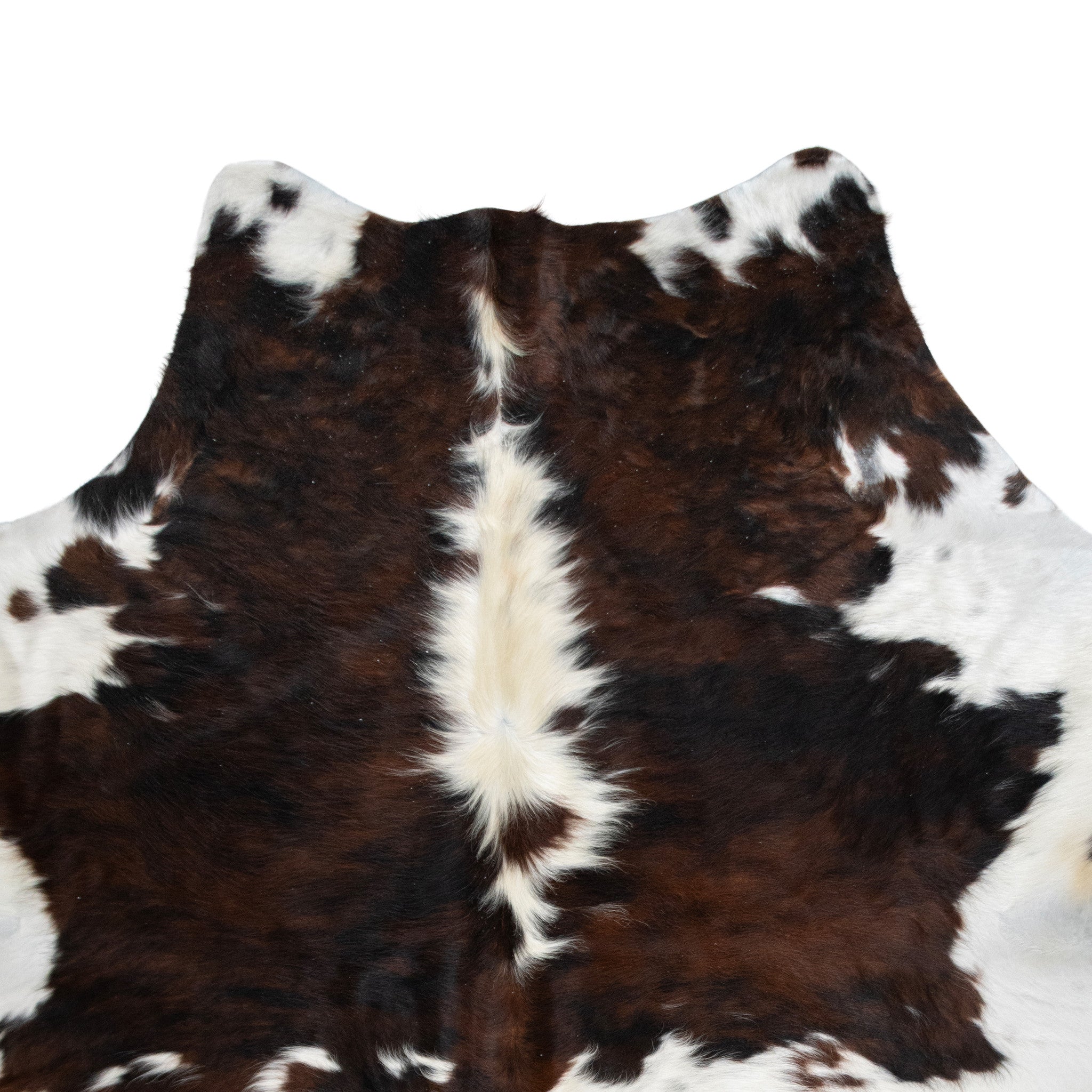 Longhorn Hide