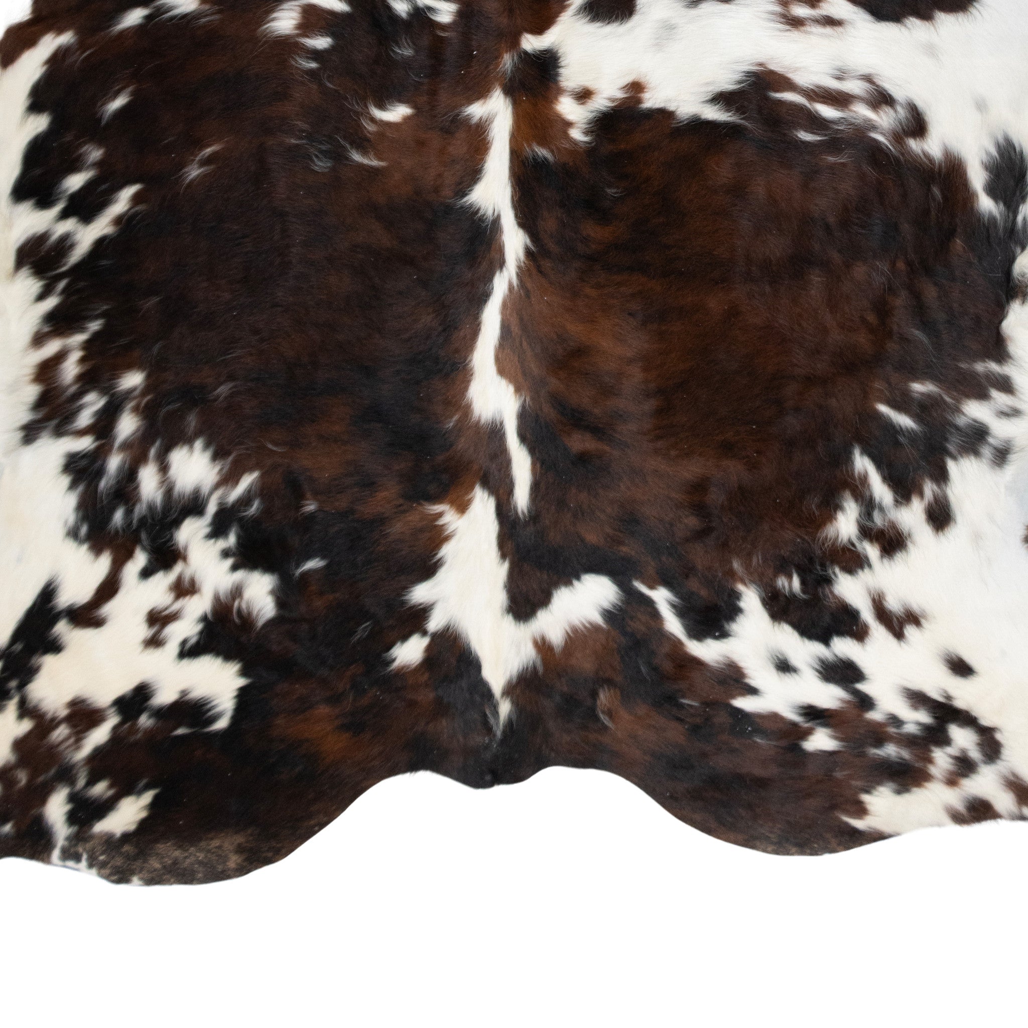 Longhorn Hide