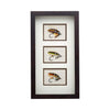 Framed Salmon Flies, Sporting Goods, Fishing, Fly