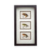 Framed Salmon Flies, Sporting Goods, Fishing, Fly