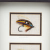 Framed Salmon Flies