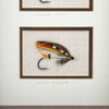 Framed Salmon Flies