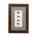 Framed Salmon Flies, Sporting Goods, Fishing, Fly