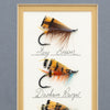 Framed Salmon Flies