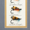 Framed Salmon Flies