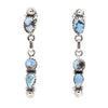 Golden Hill Turquoise Dangle Earrings