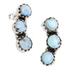 Golden Hill Turquoise Drop Earrings, Jewelry, Earrings, Southwest