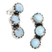 Golden Hill Turquoise Drop Earrings, Jewelry, Earrings, Southwest