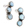 Golden Hill Turquoise Drop Earrings
