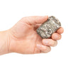 Sterling Silver Horse Racing Match Safe