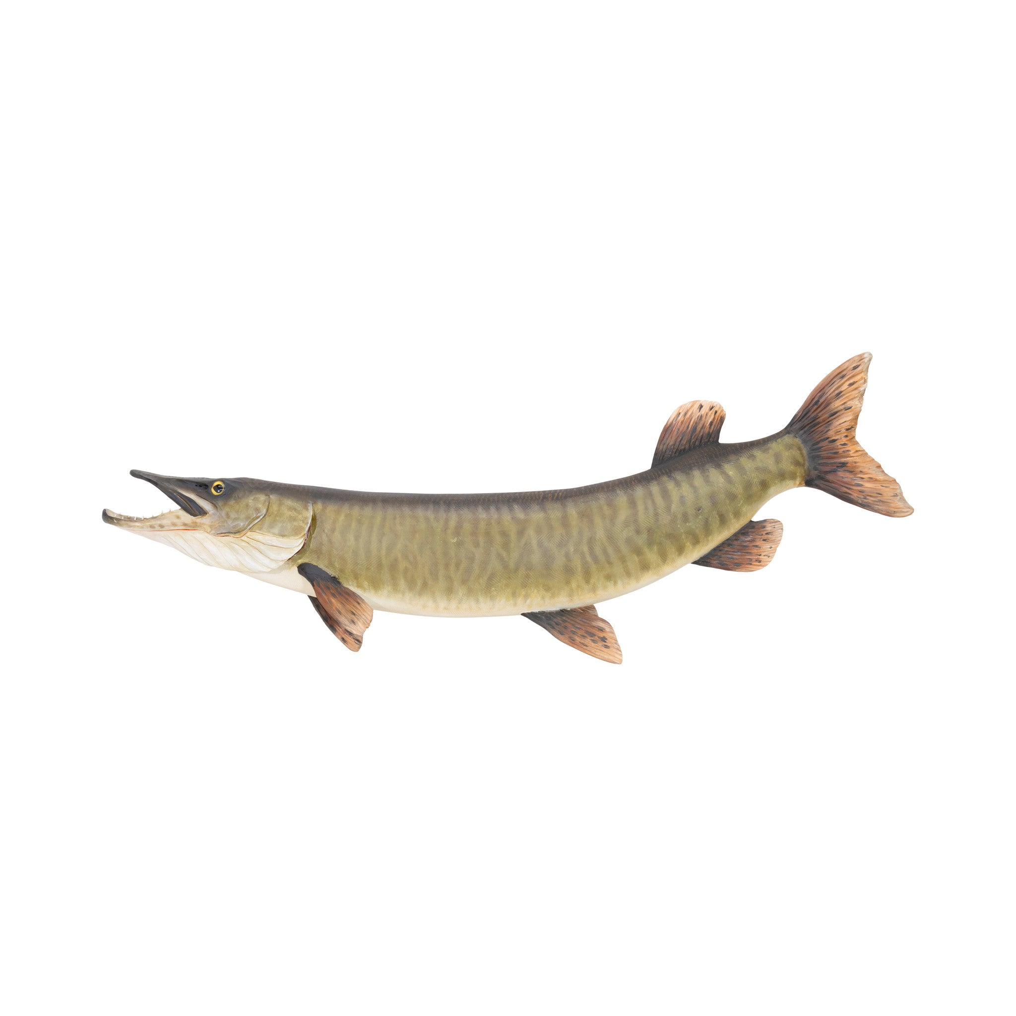 Muskie by Mike Borrett, Sporting Goods, Fishing, Decoy