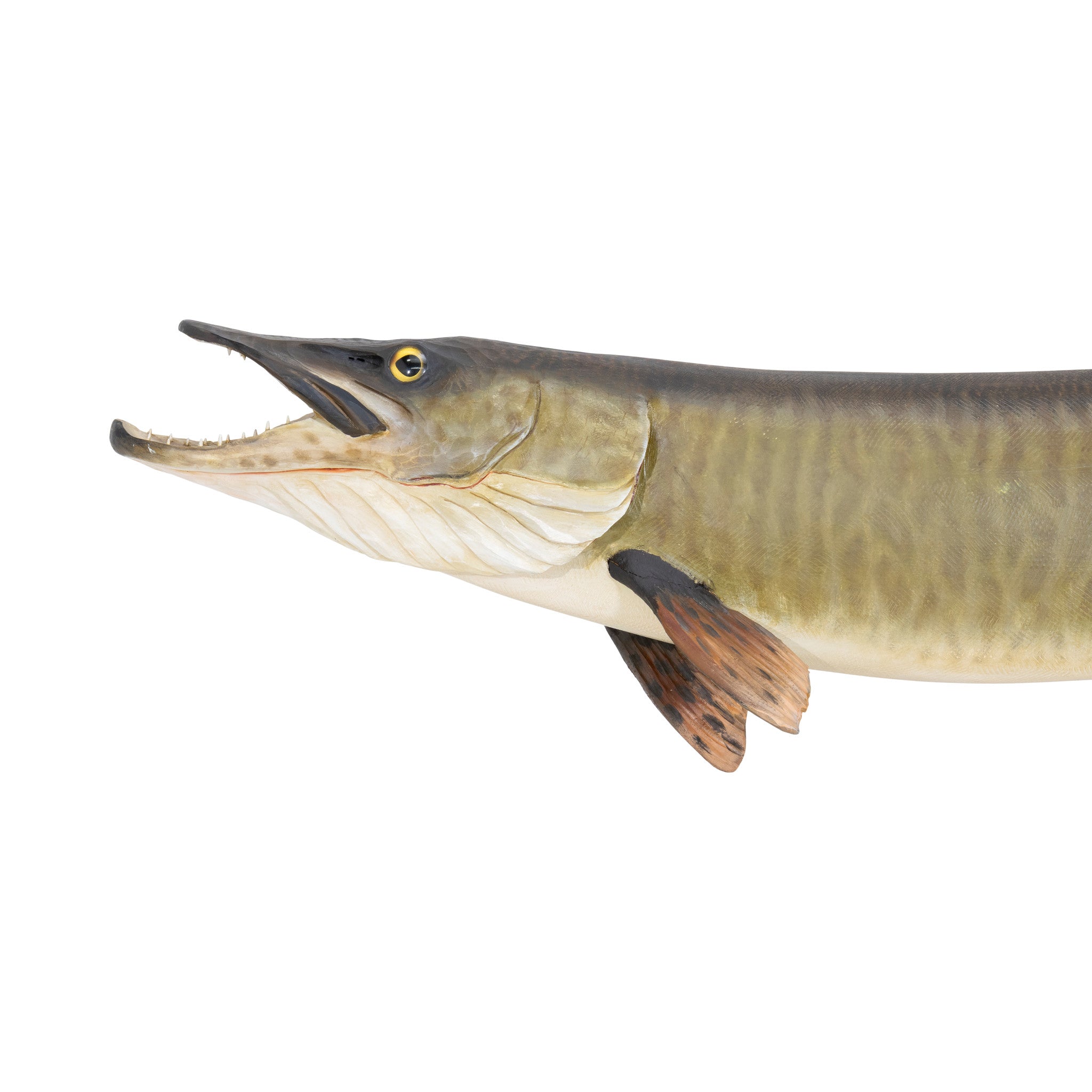 Muskie by Mike Borrett