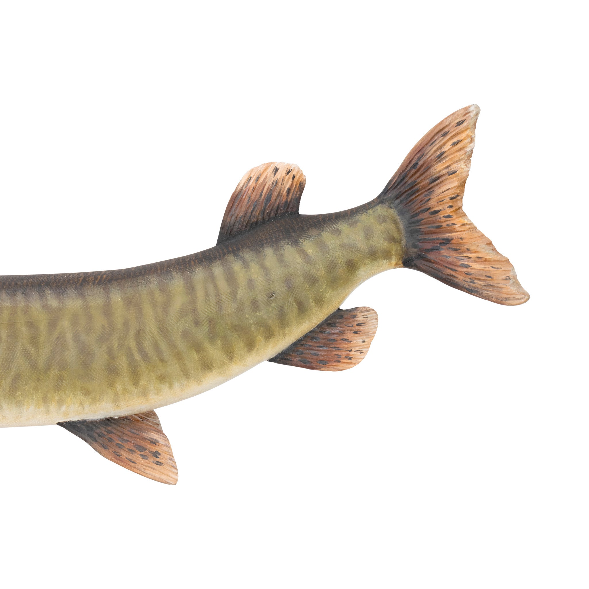 Muskie by Mike Borrett