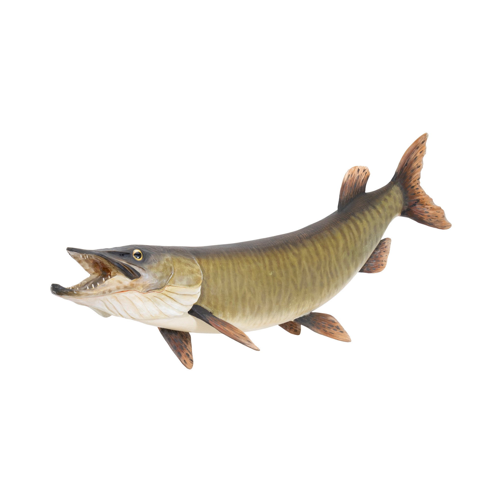 Muskie by Mike Borrett