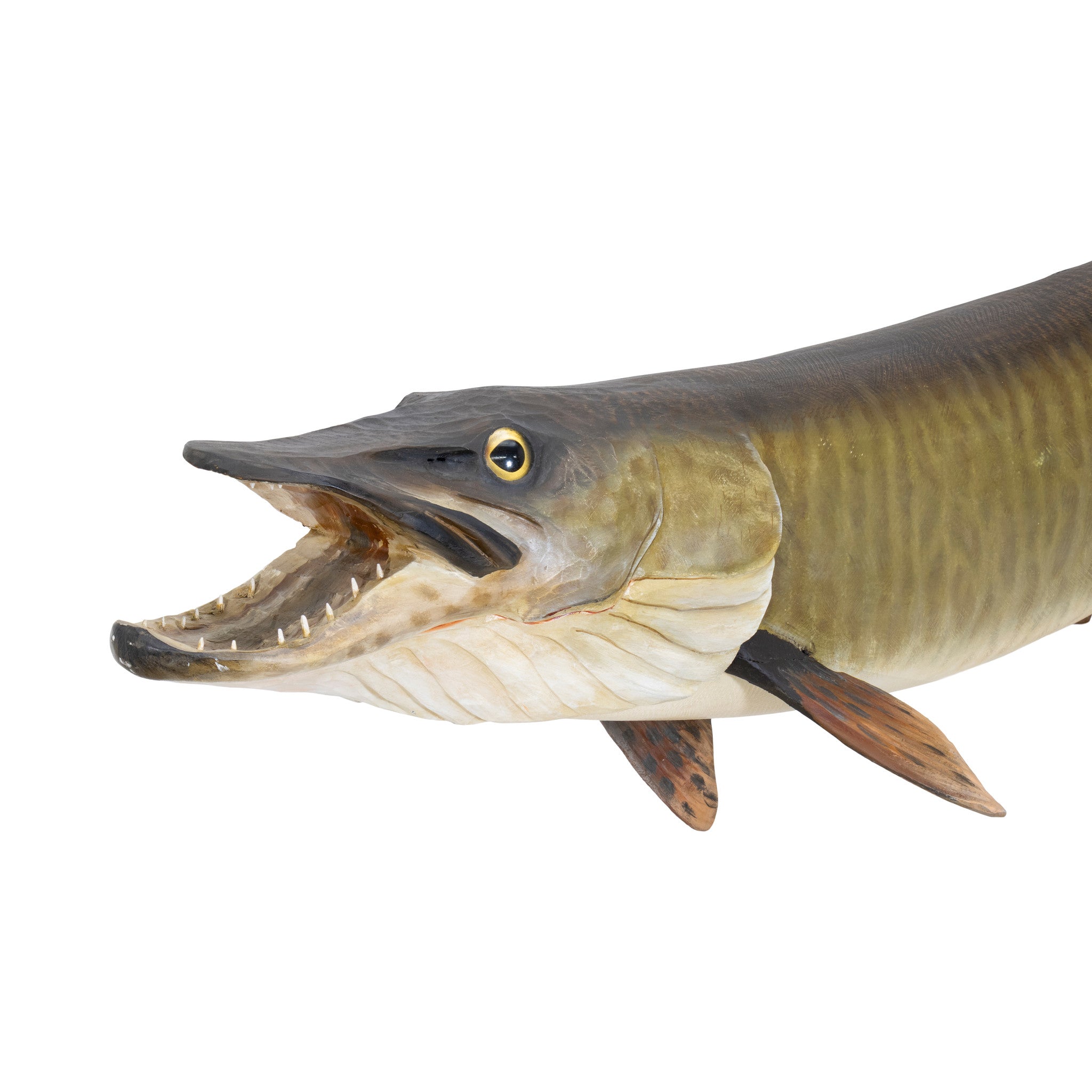 Muskie by Mike Borrett