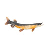 Muskie by Mike Borrett