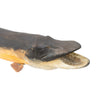 Muskie by Mike Borrett