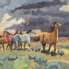 Prairie Storm by Sheryl Bodily