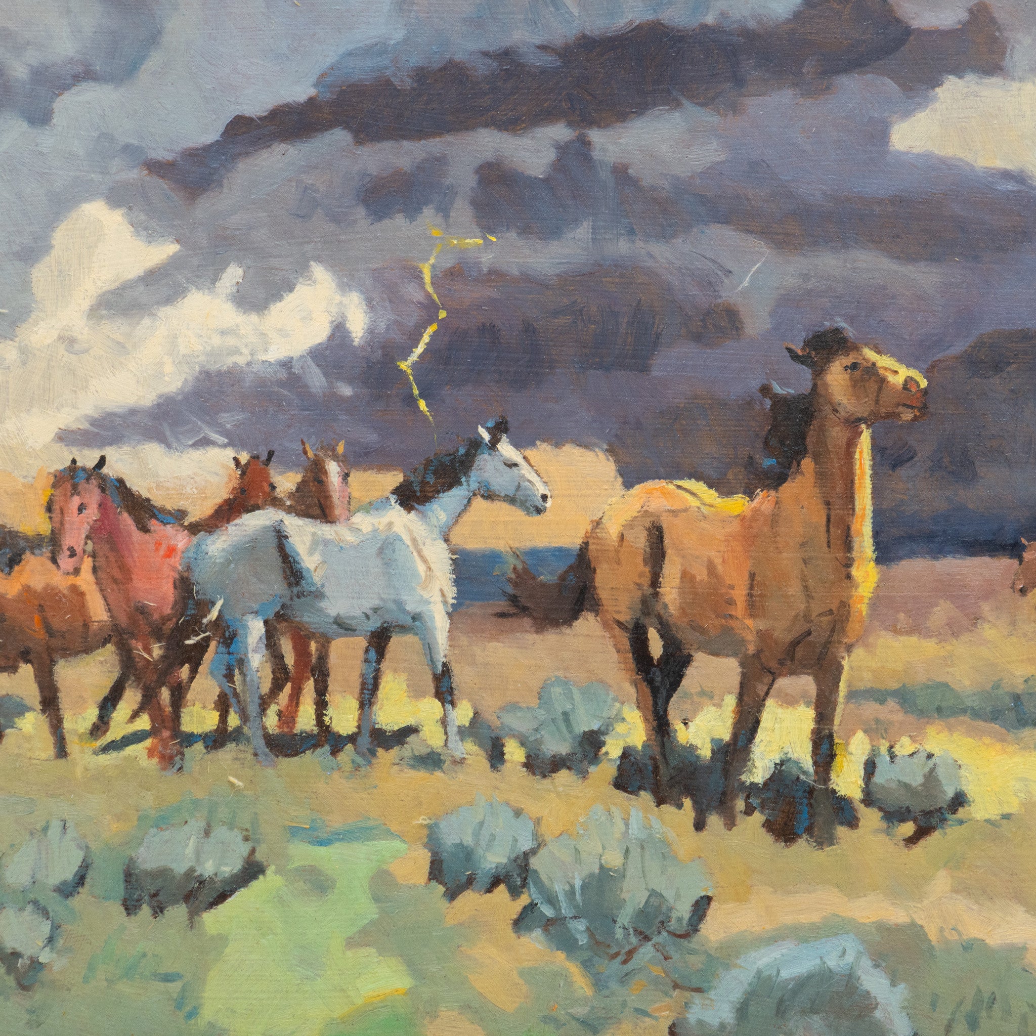 Prairie Storm by Sheryl Bodily