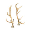 Elk Candelabras