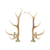 Elk Candelabras