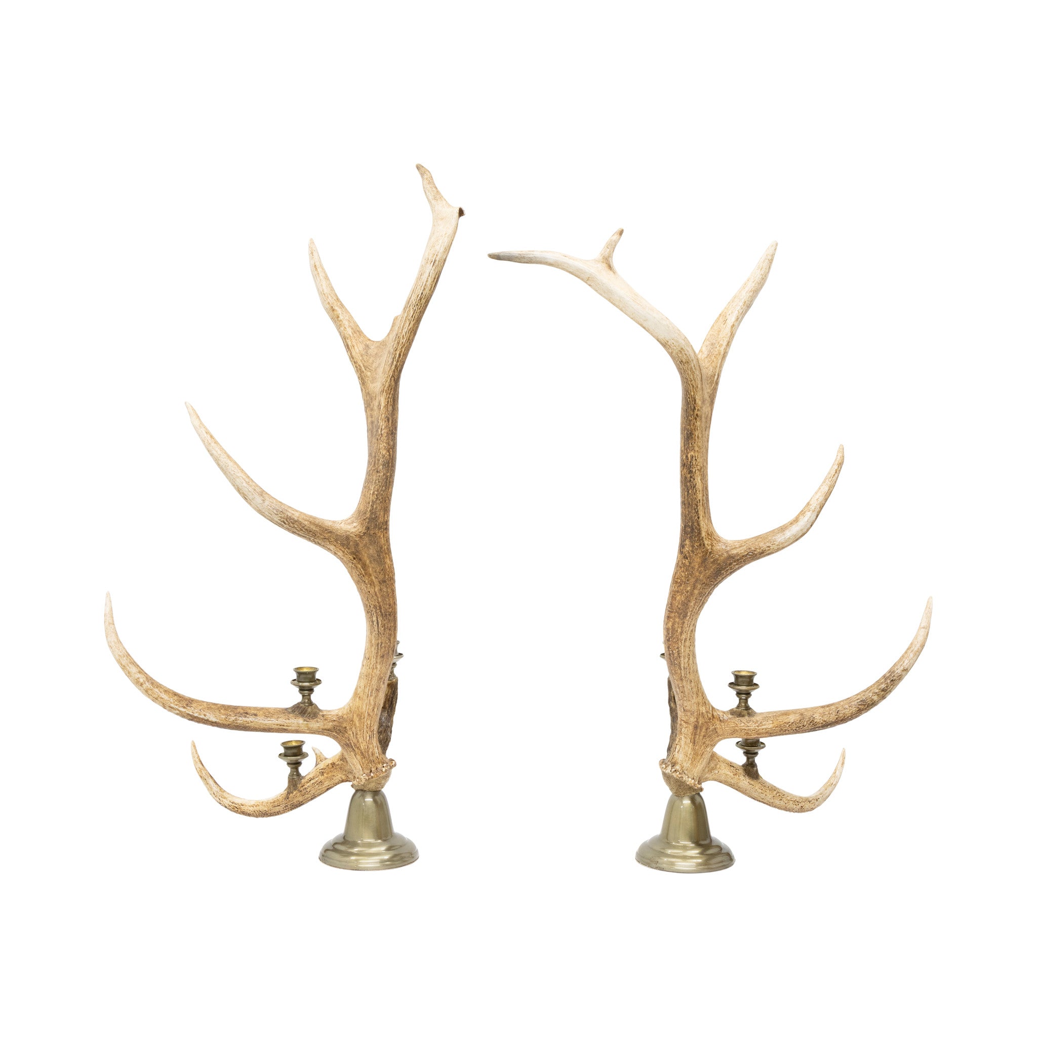 Elk Candelabras