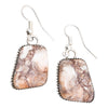 Navajo Wild Horse Earrings, Jewelry, Earrings, Native