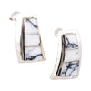 Navajo White Buffalo Turquoise Earrings, Jewelry, Earrings, Native