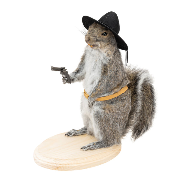 Cowboy Squirrel, Furnishings, Taxidermy, Other