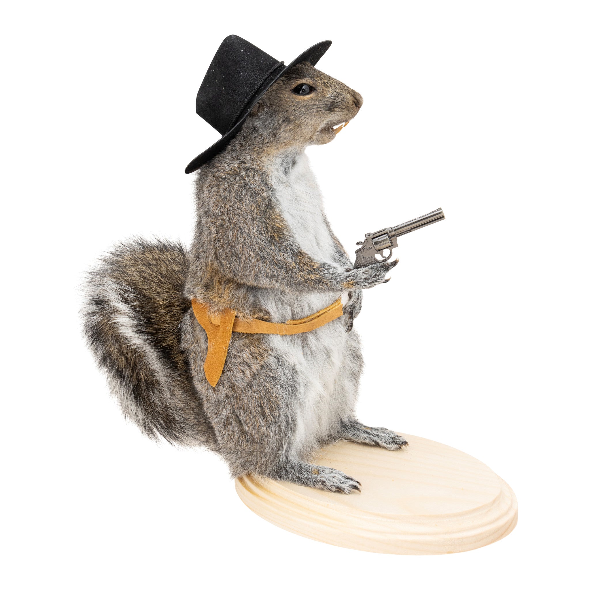 Cowboy Squirrel