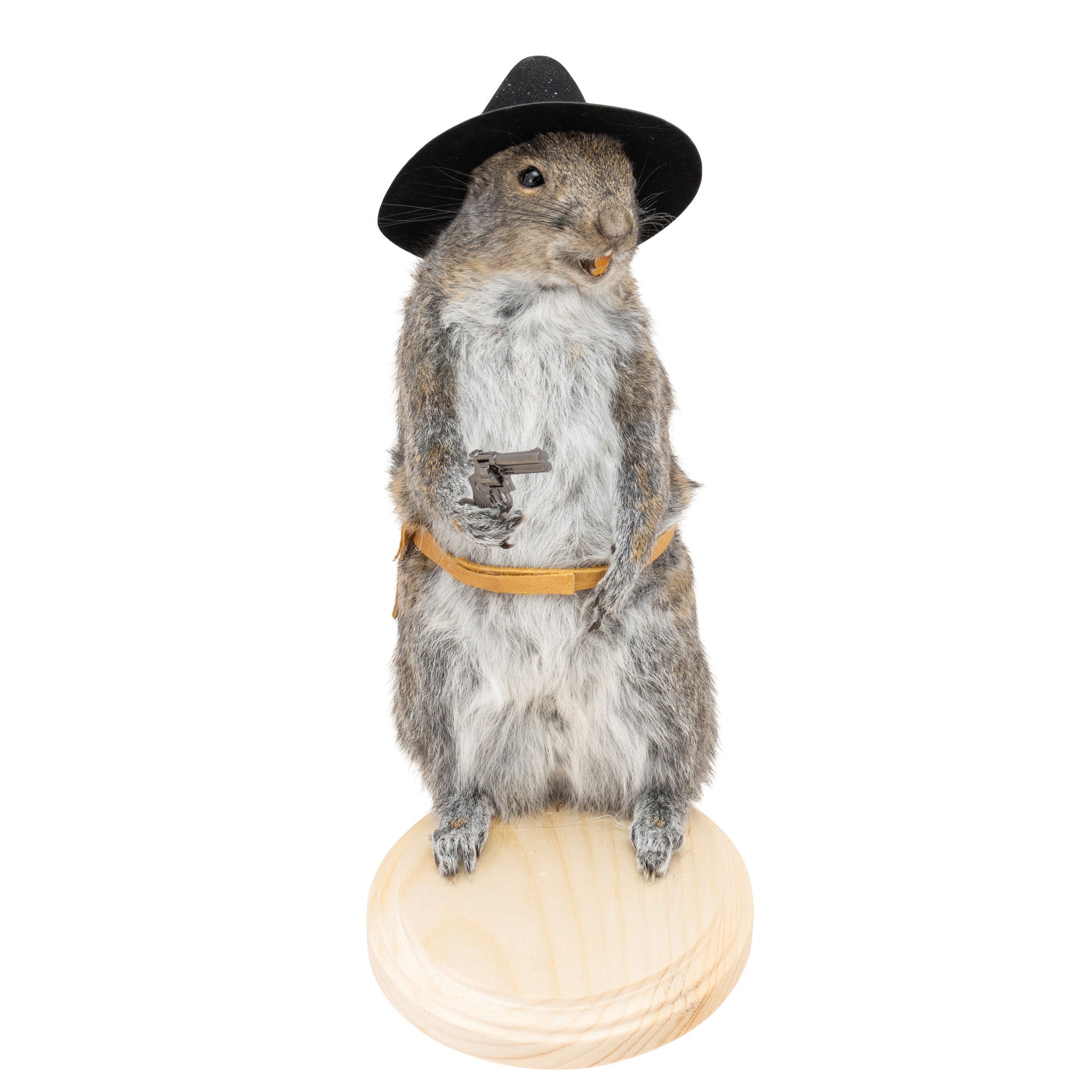 Cowboy Squirrel