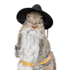 Cowboy Squirrel