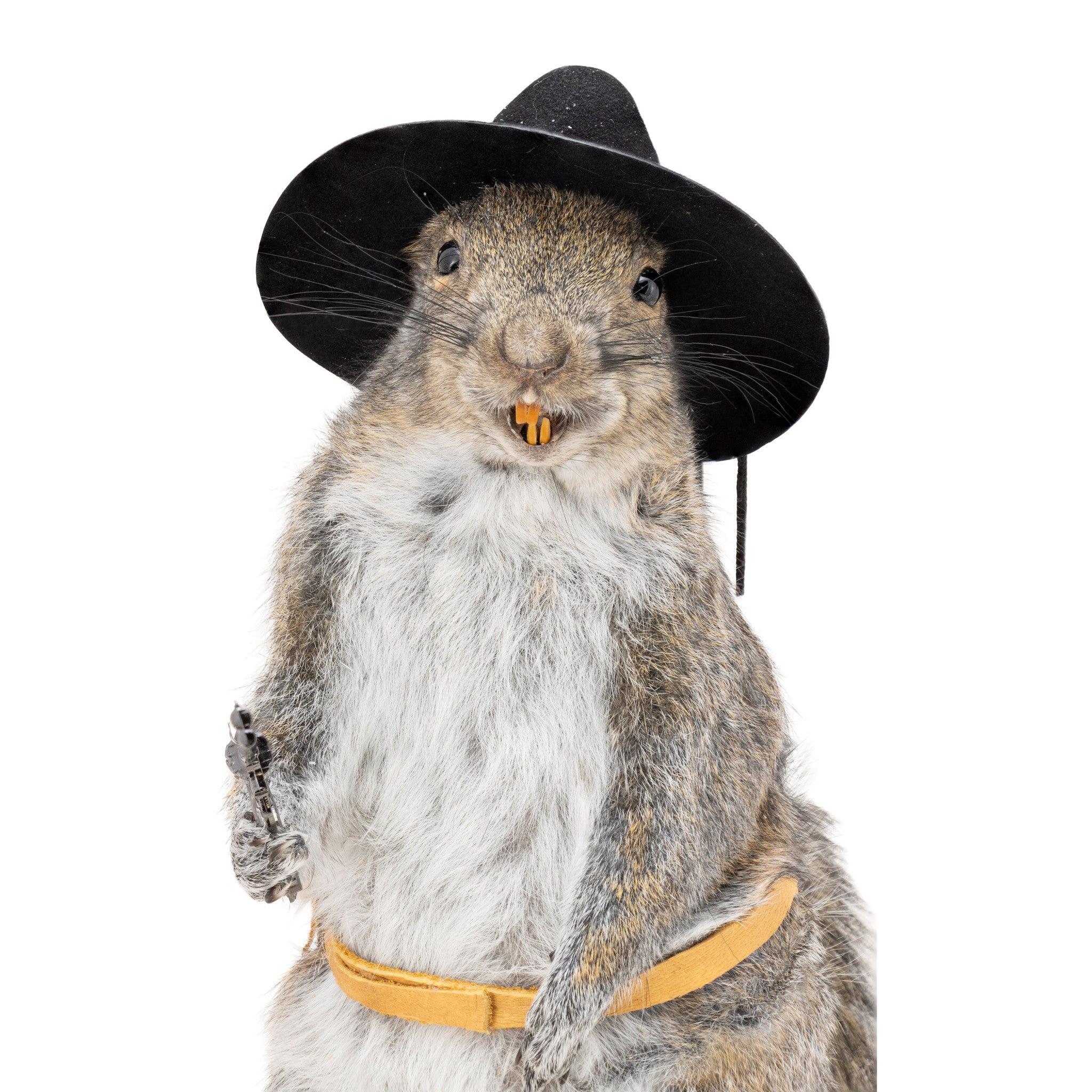 Cowboy Squirrel