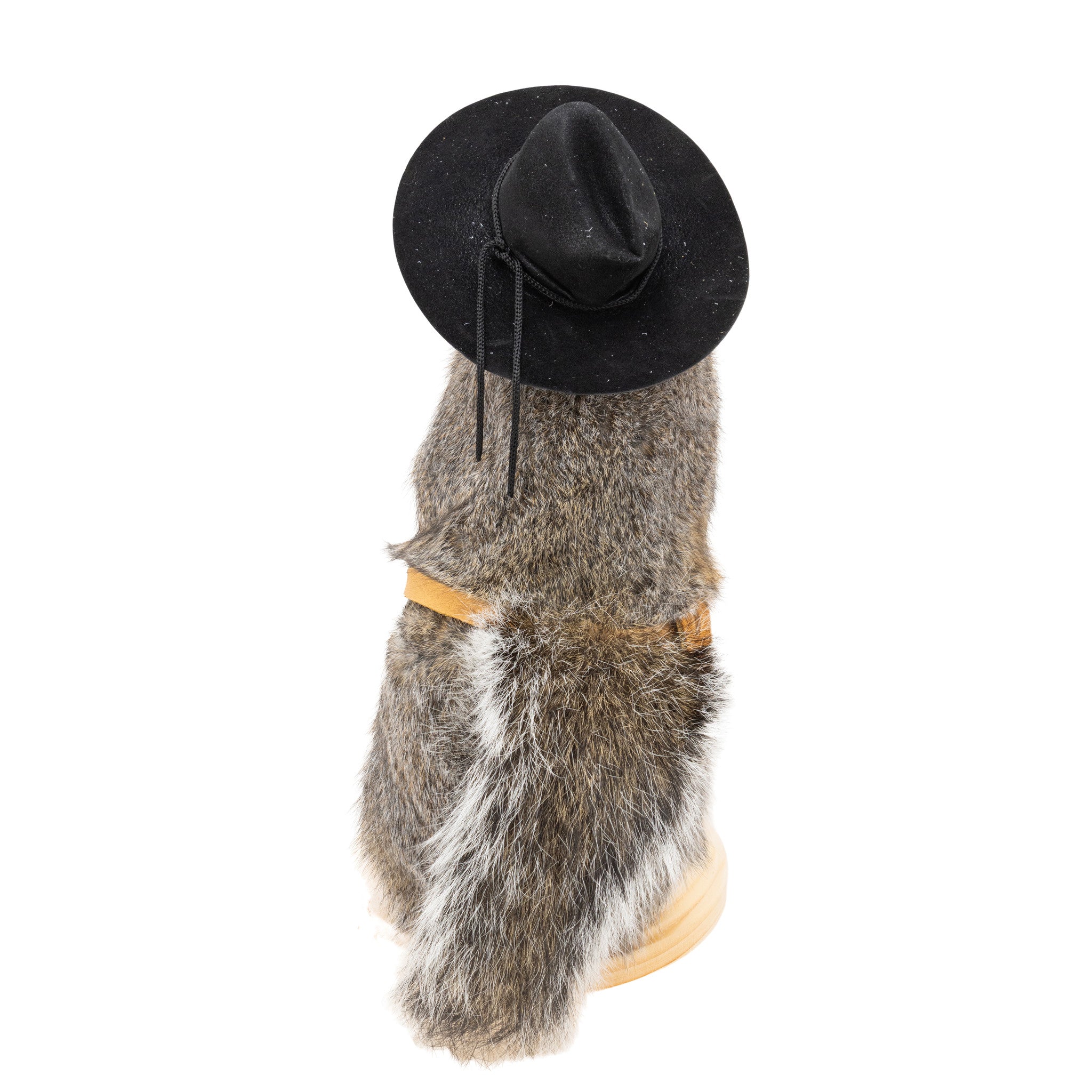 Cowboy Squirrel